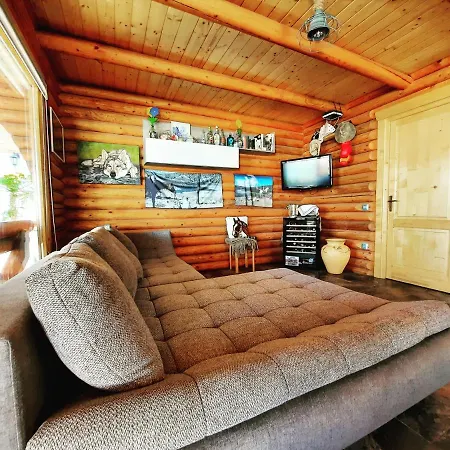 Wild House