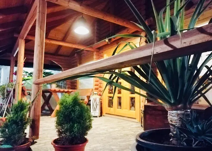 Wild House Las Palmas de Gran Canaria